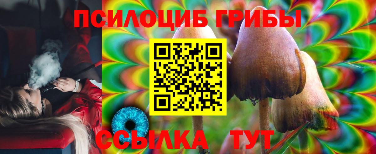 Галлюциногенные грибы Psilocybe  Вход с VPN  Брянск  Псилоцибиновые грибы Cubensis 